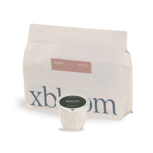 INDONESIA XBLOOM